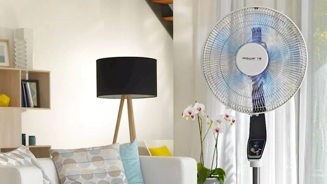 Préparez l'été au frais avec ce ventilateur Rowenta en promo à moins de 95 €