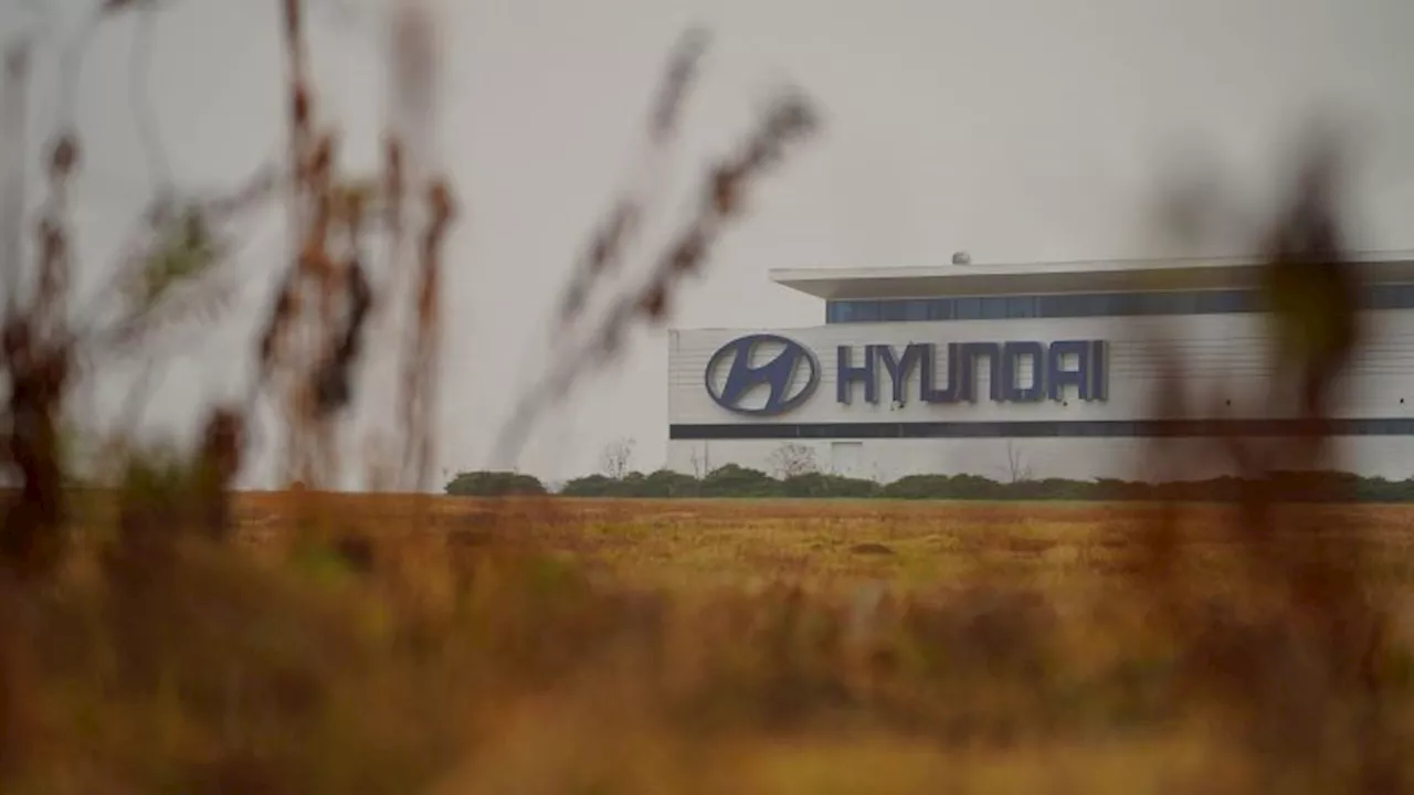 Department of Labor sues Hyundai over child labor