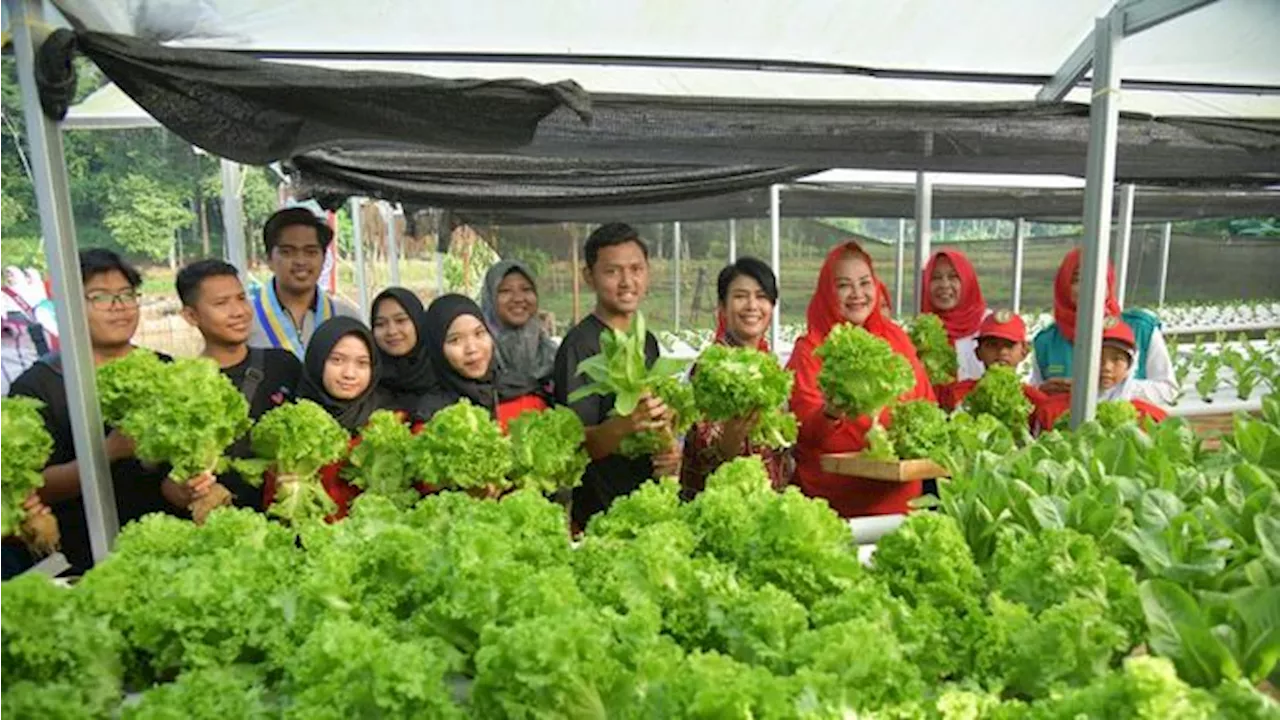 Walkot Ajak Anak Muda Semarang Jadi Agen Ketahanan Pangan