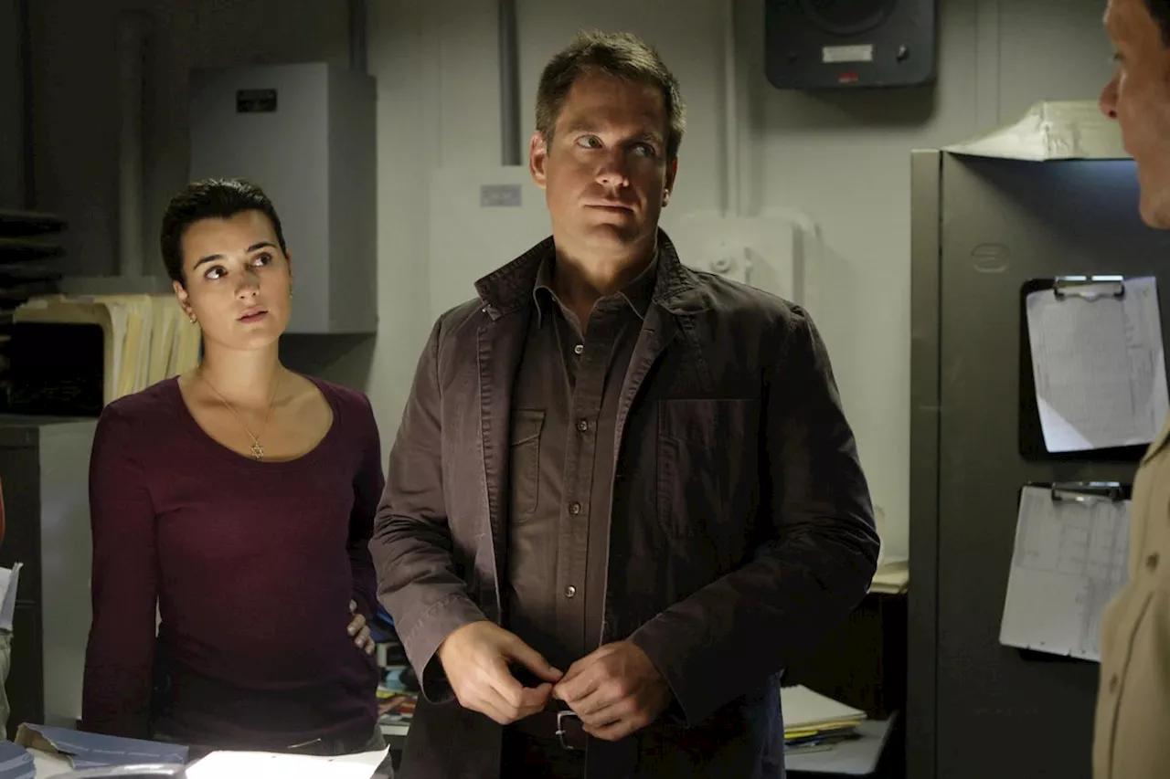 NCIS Stars Cote de Pablo and Michael Weatherly to Host Rewatch Podcast for Spotify