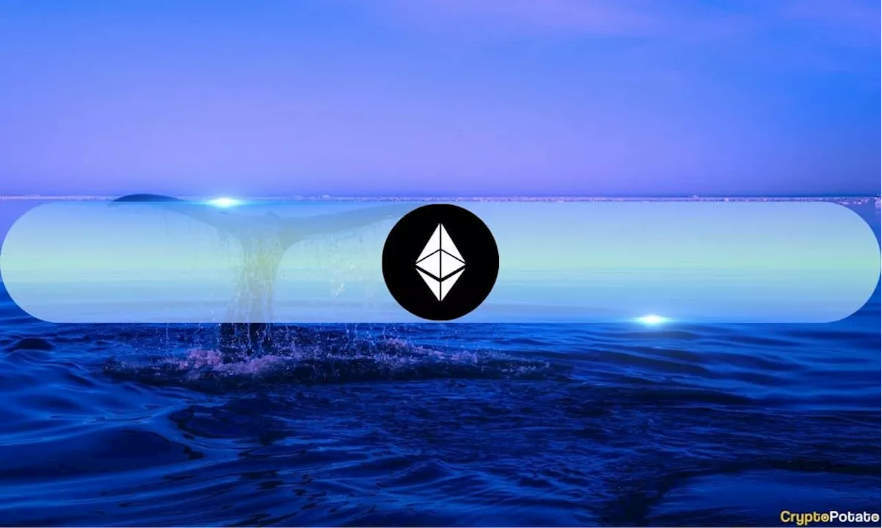 Ethereum Whales with Over 10,000 ETH Surging, Signaling Accumulation Trend