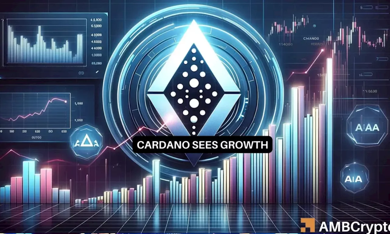 Cardano: Can rising DEX activity rescue ADA from price declines?