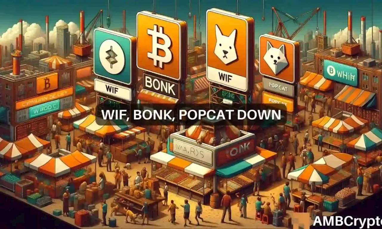 Memecoin mayhem? Solana’s WIF, BONK, POPCAT see sharp declines