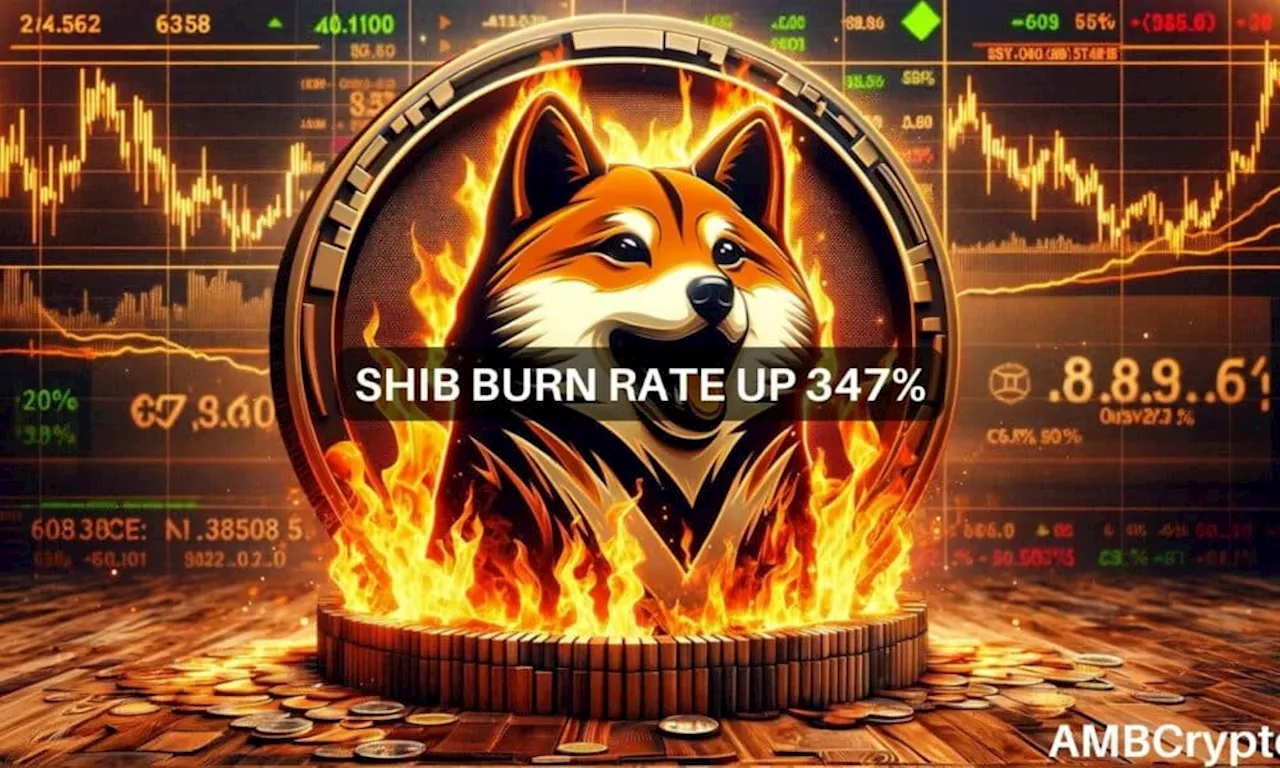 Shiba Inu’s burn rate explodes: Is a SHIB rally brewing?