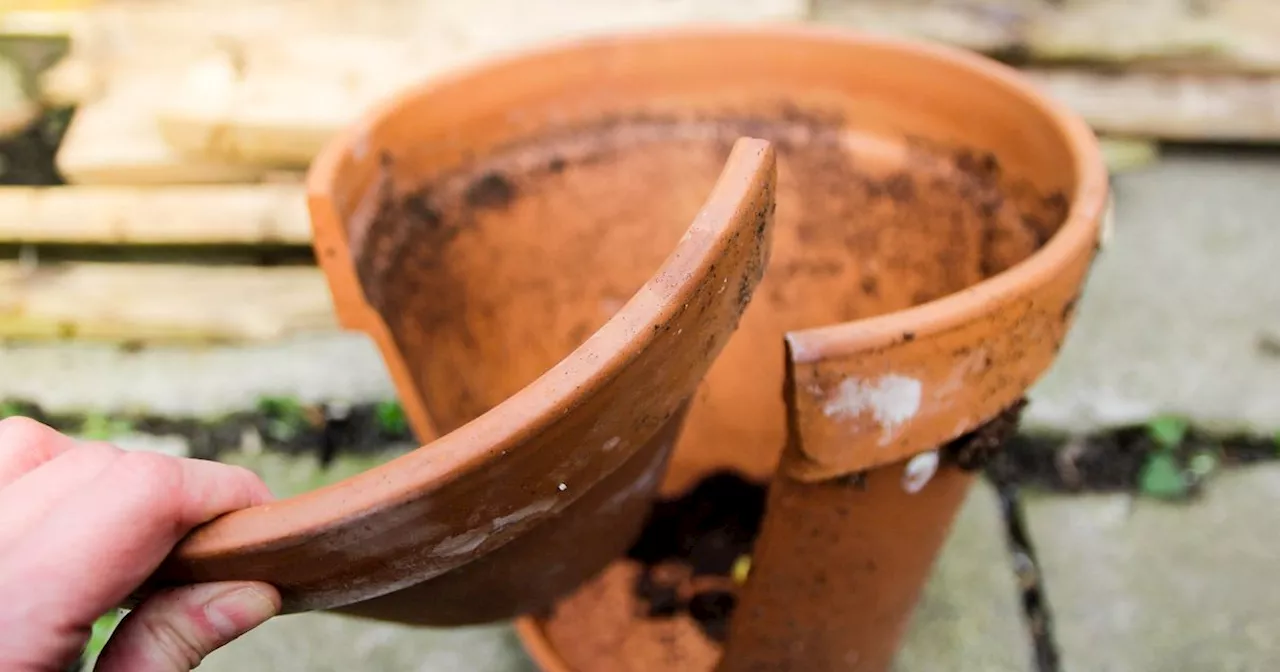 Don't throw away your broken garden pots and make this instead, says gardener