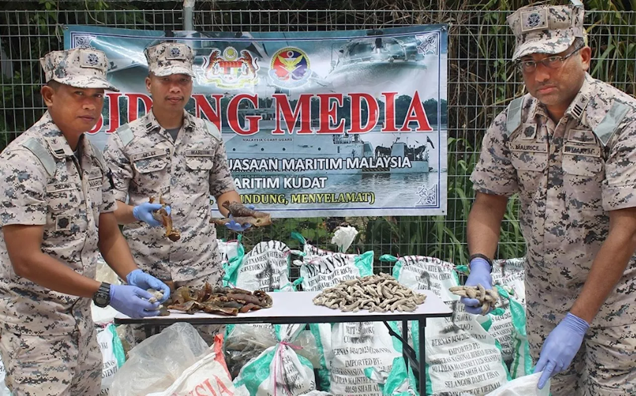 Maritim rampas 765kg daging penyu cuba diseludup di Kudat