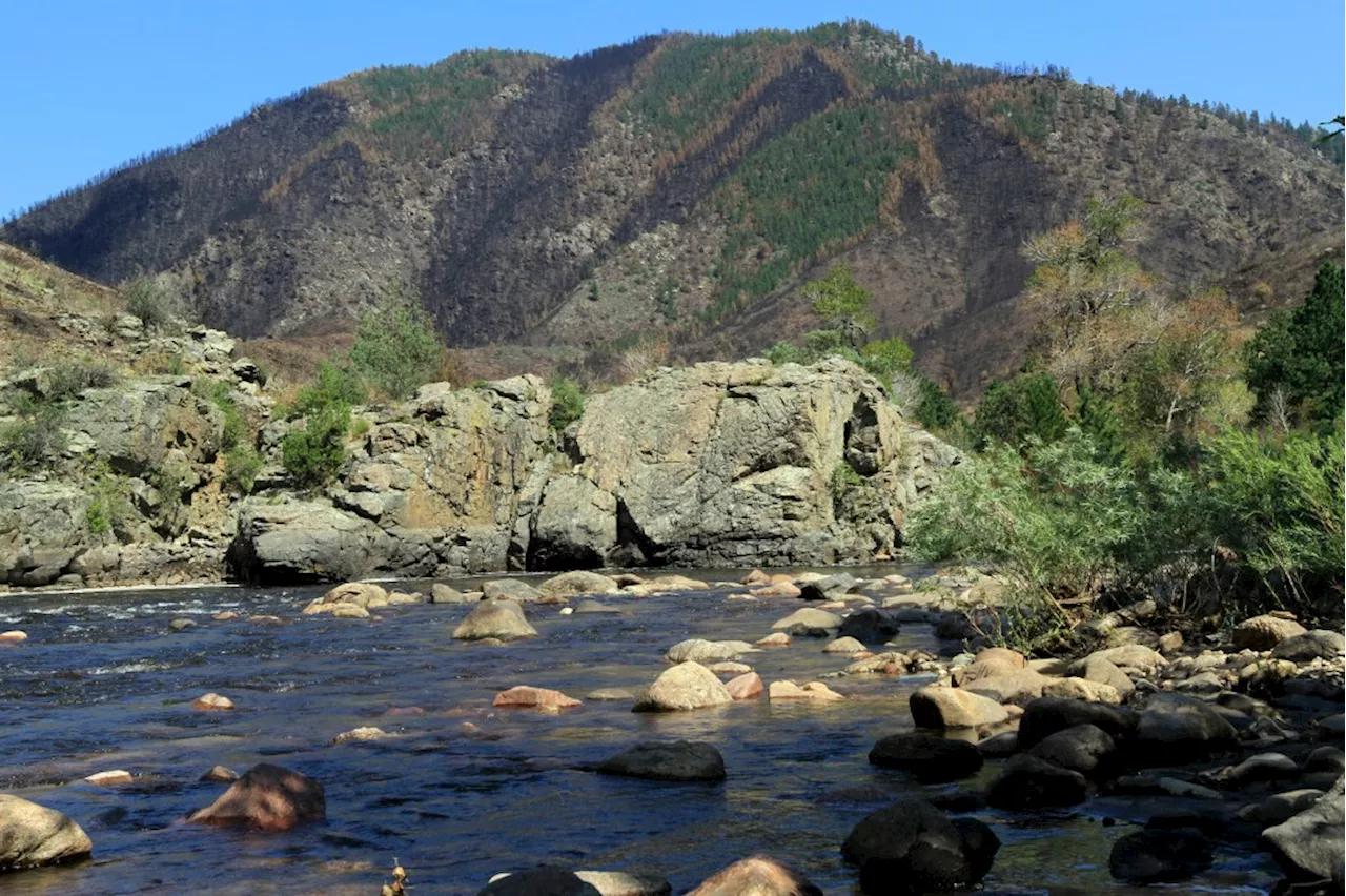 Woman dies after Poudre Canyon rafting crash near Fort Collins