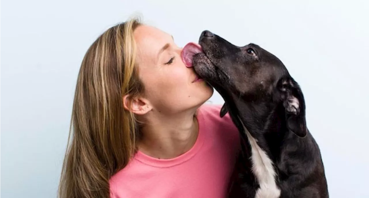 Estas son las enfermedades que transmiten los perros con la saliva, según veterinaria