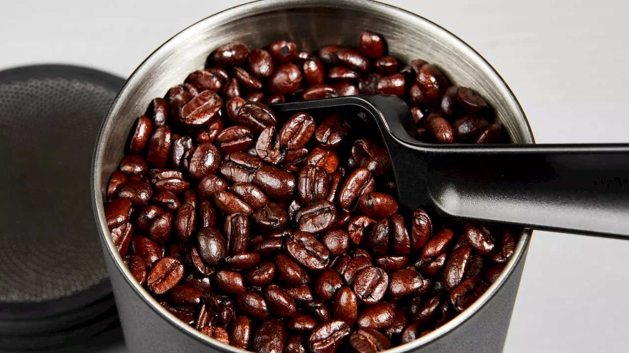 Storing Coffee Beans for the Freshest Tasting Brews is Easier Than You Think