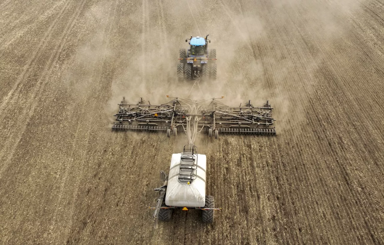 Spring rains welcome, but drought risk lingers in Western Canada