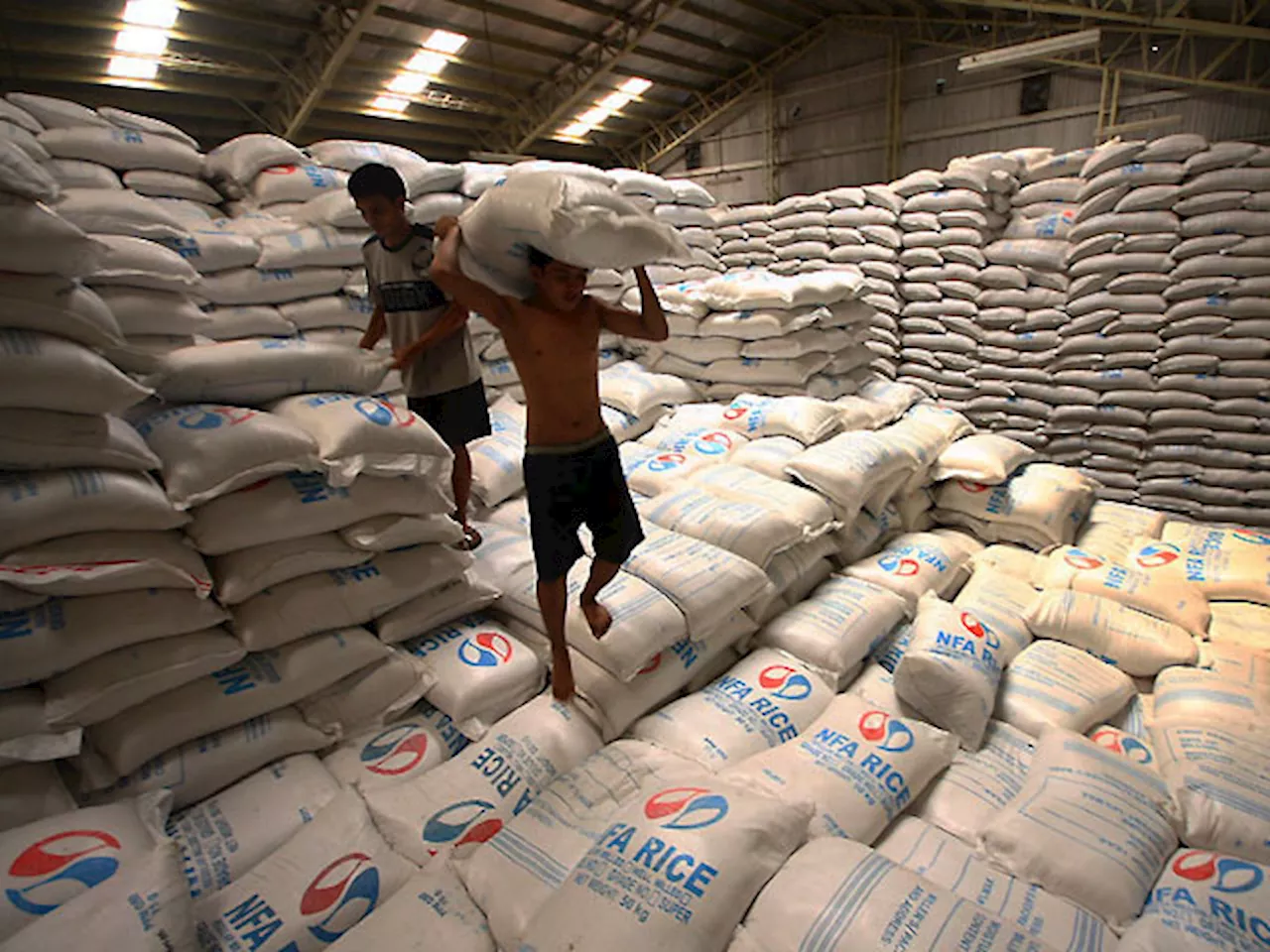 Palay procurement poised to exceed H1 target, says NFA