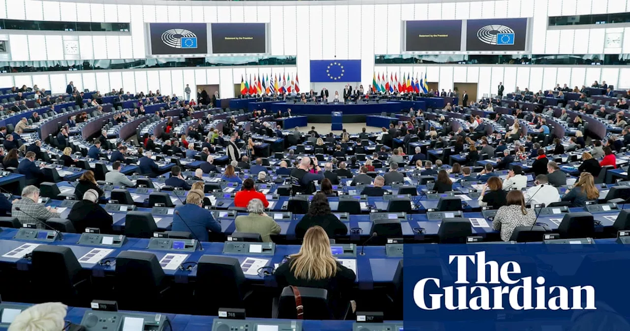 MEPs’ lack of racial diversity has caused EU identity crisis, campaigners say