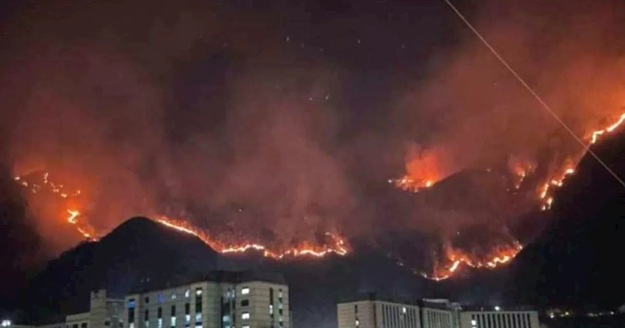 Forest Fire: शिमला में ट्रेन रोकनी पड़ी, AIIMS के पास भी जले जंगल...हिमाचल के वनों में आग का तांडव