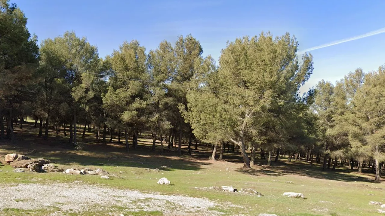 La Zubia, Granada, ofrece baños de bosque para 'mejorar la salud emocional'