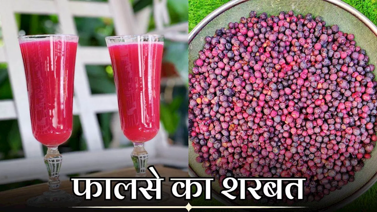 Falsa Sharbat Recipe: गर्मियों में शरीर को ठंडा रखेगा फालसे का शरबत, इस आसान रेसिपी से झटपट करें तैयार