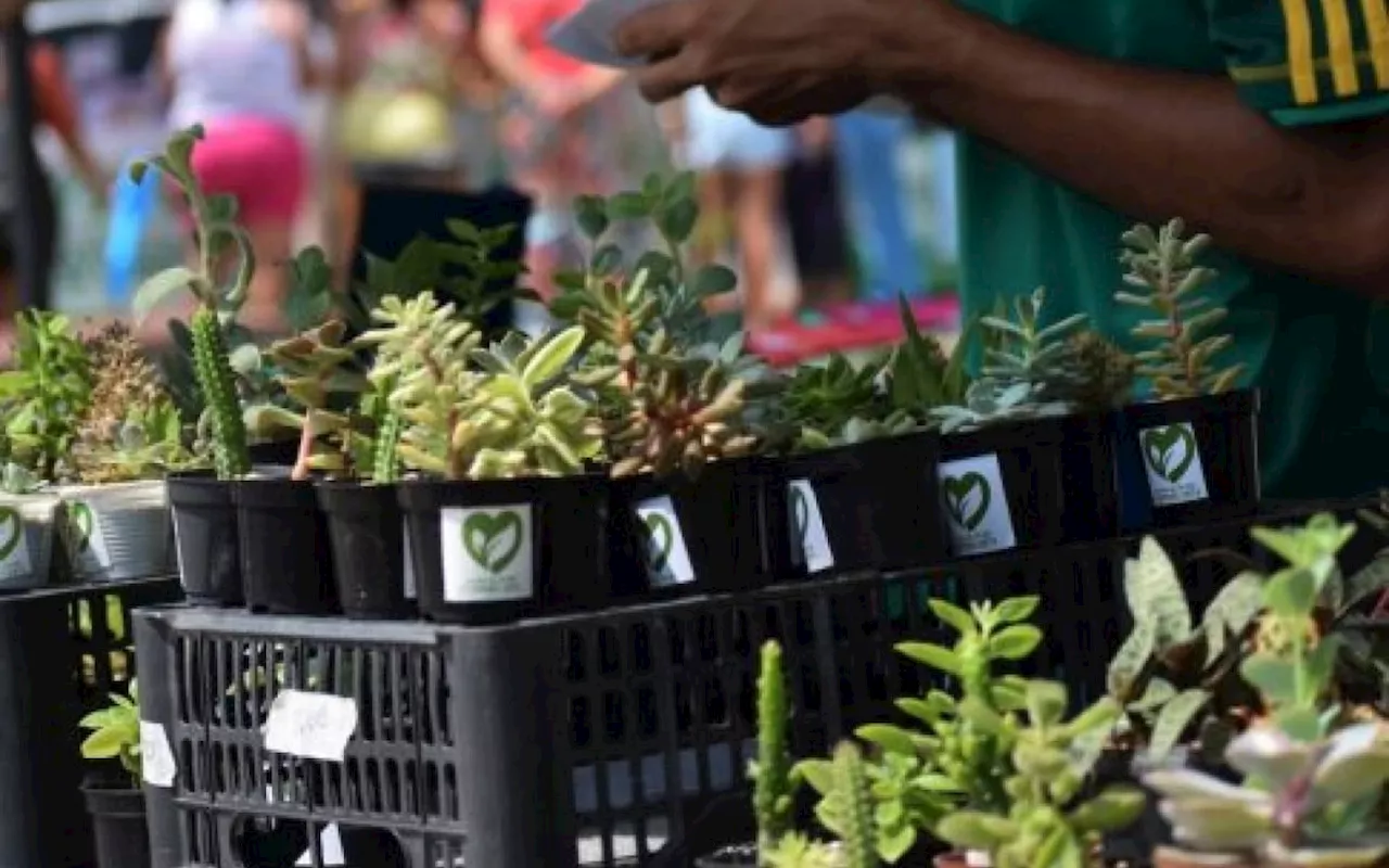 Iguaba Grande inicia as comemorações da Semana do Meio Ambiente neste sábado (1)