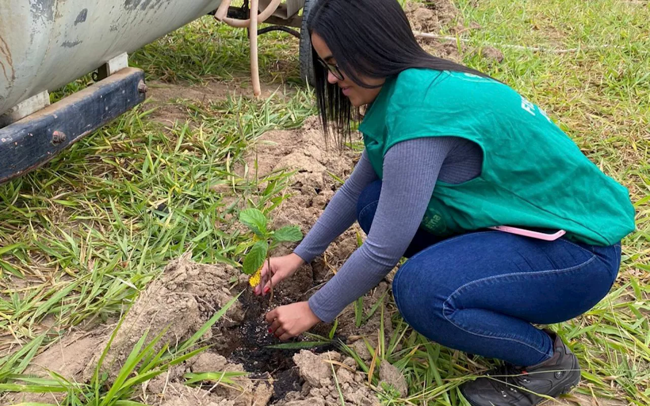 Semana Municipal de Meio Ambiente terá ações focadas na conscientização