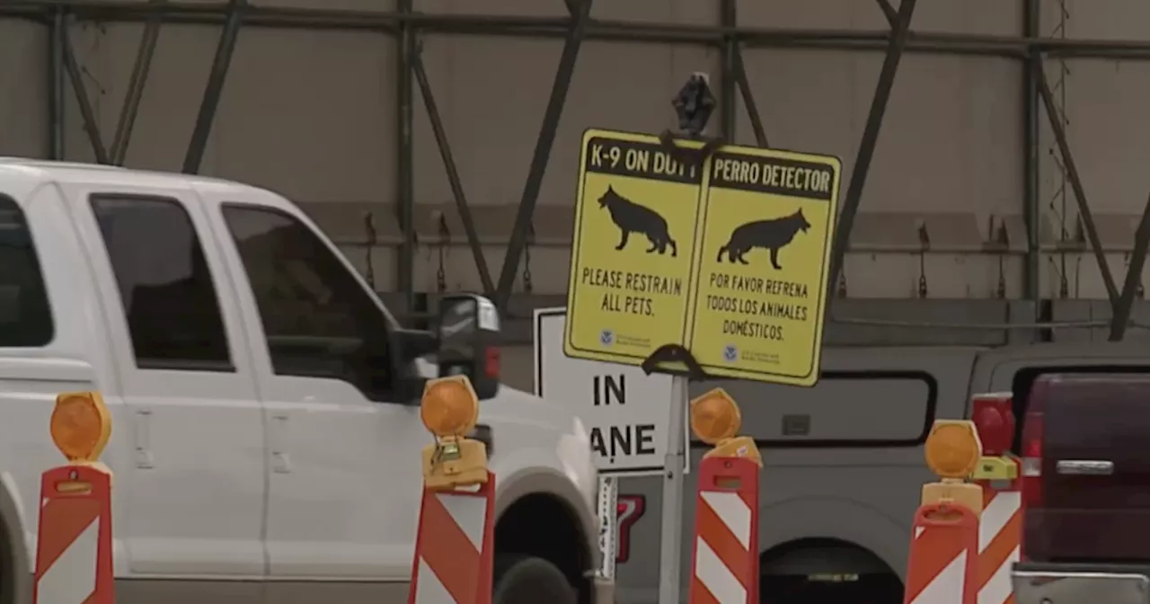 Border Patrol's K9s sniff out smugglers