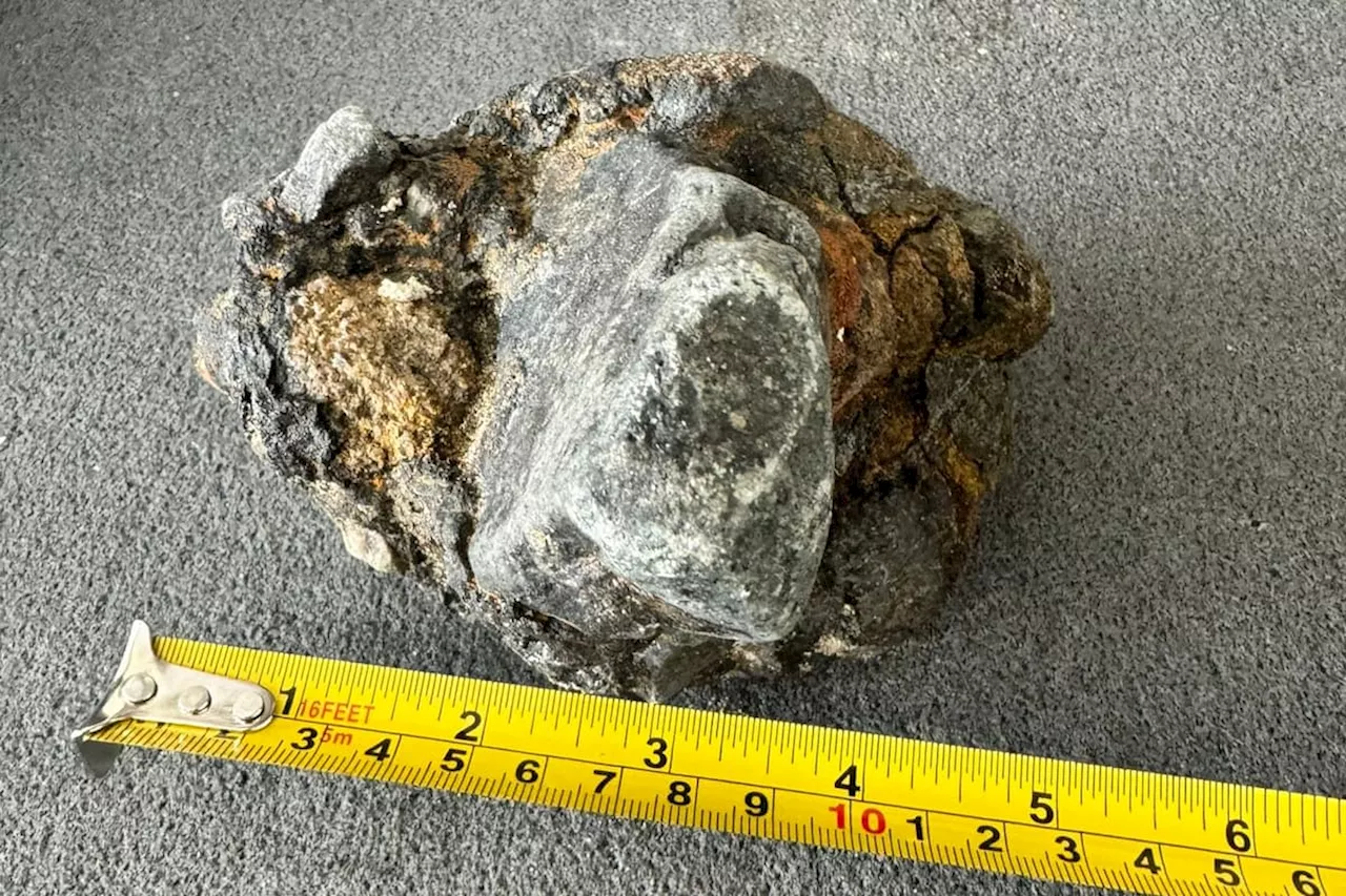 I found a meteorite outside my Blackpool shop - and I put it in the bin