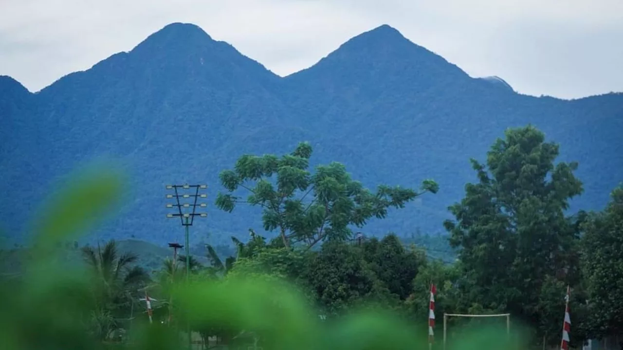 6 Fakta Menarik Pegunungan Boliyohuto, Punya Hutan Tropis Terluas di Sulawesi