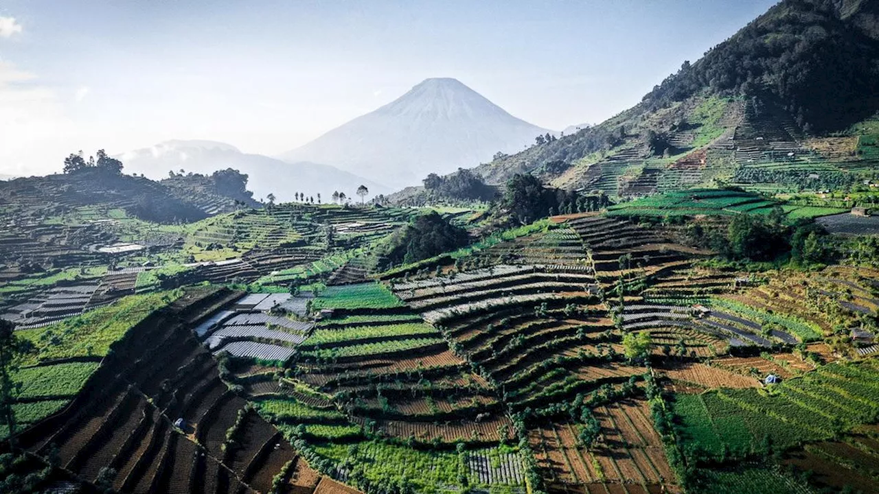 Berkunjung ke Tawangmangu, Menjelajah Destinasi Wisata Herbal hingga Wisata Alam