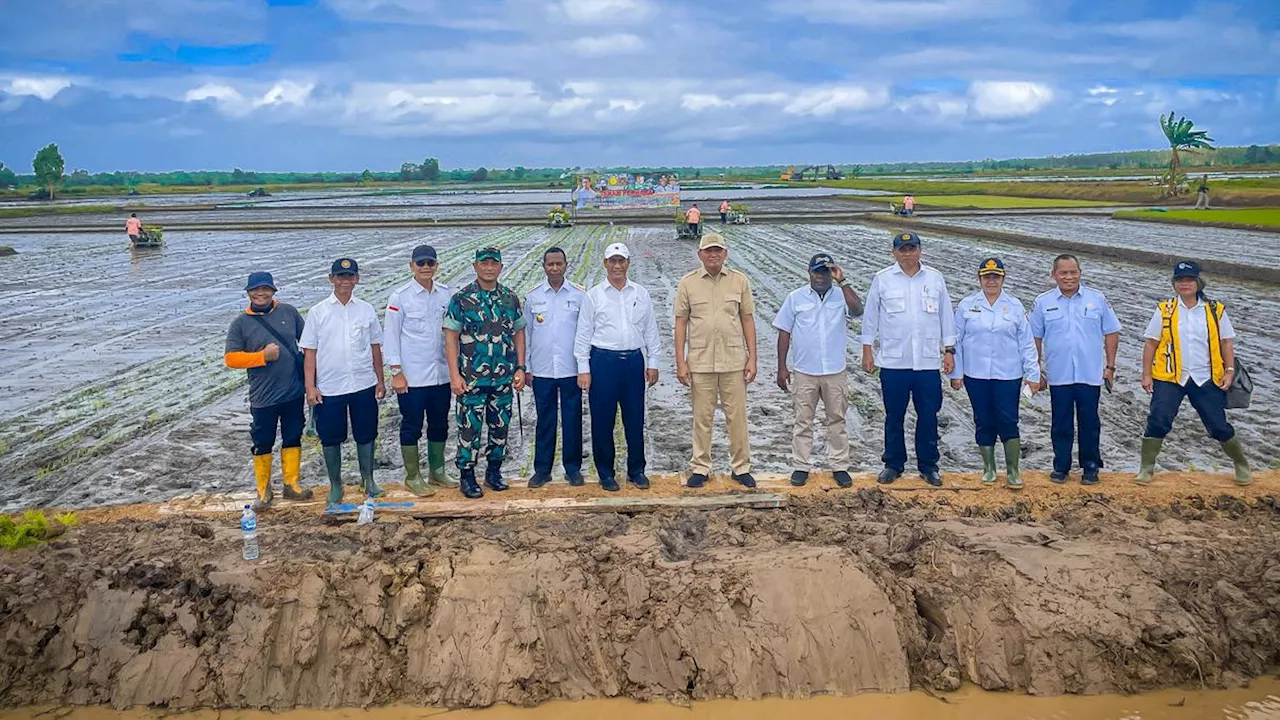 Punya Lahan Pertanian Seluas 1,2 Hektare, Kementan Arahkan Merauke Jadi Penyedia Pangan Melalui Opla