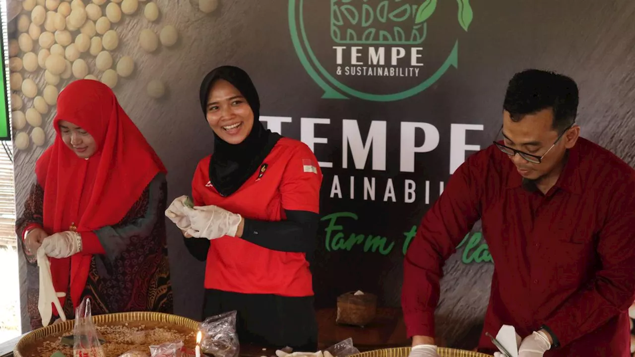 Resmi Diajukan sebagai Warisan Budaya Tak Benda Unesco, Tempe Akan Semakin Mendunia