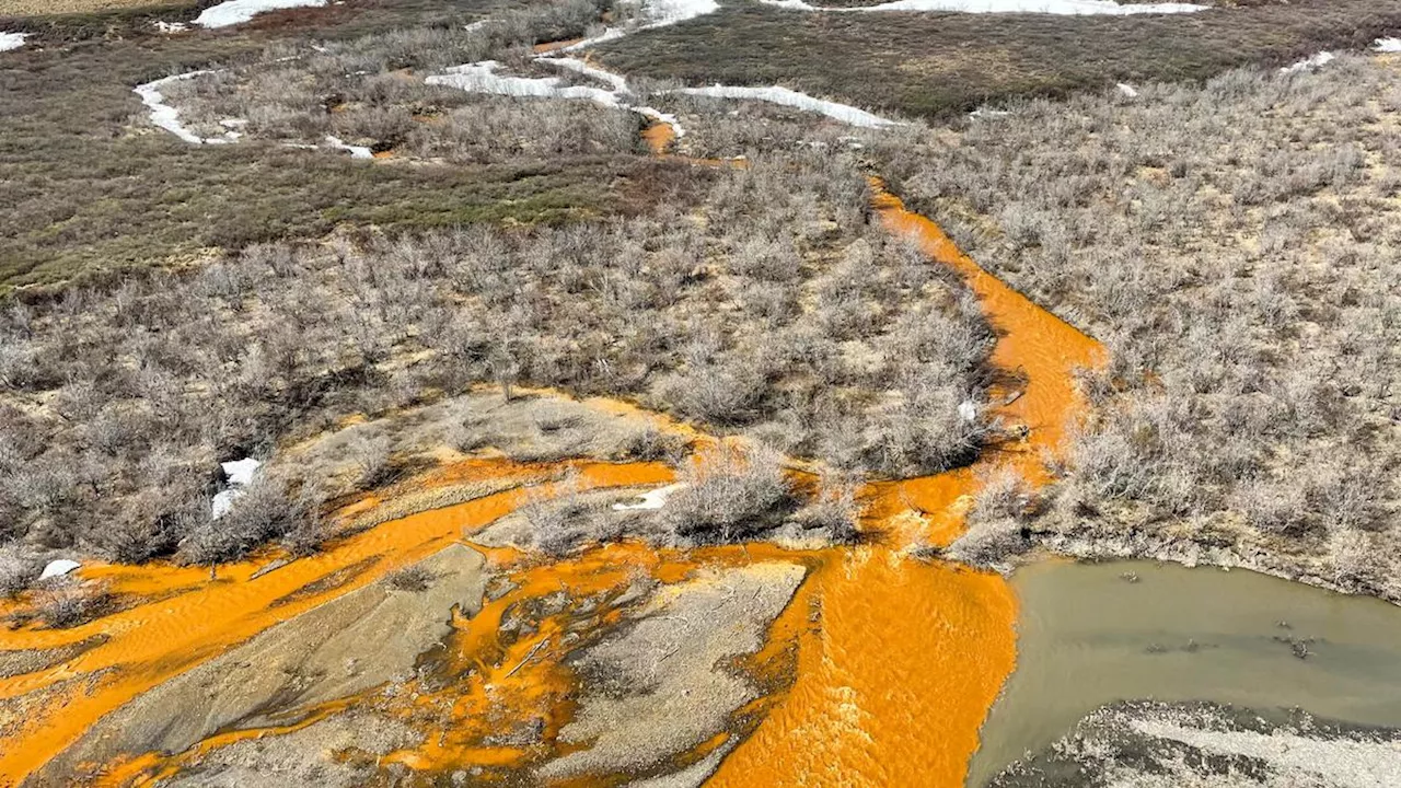 Sungai-sungai di Alaska Berubah Warna Jadi Oranye Berkarat, Kok Bisa?