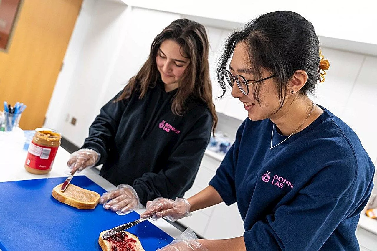 Scientists develop visual tool to help people group foods based on their levels of processing