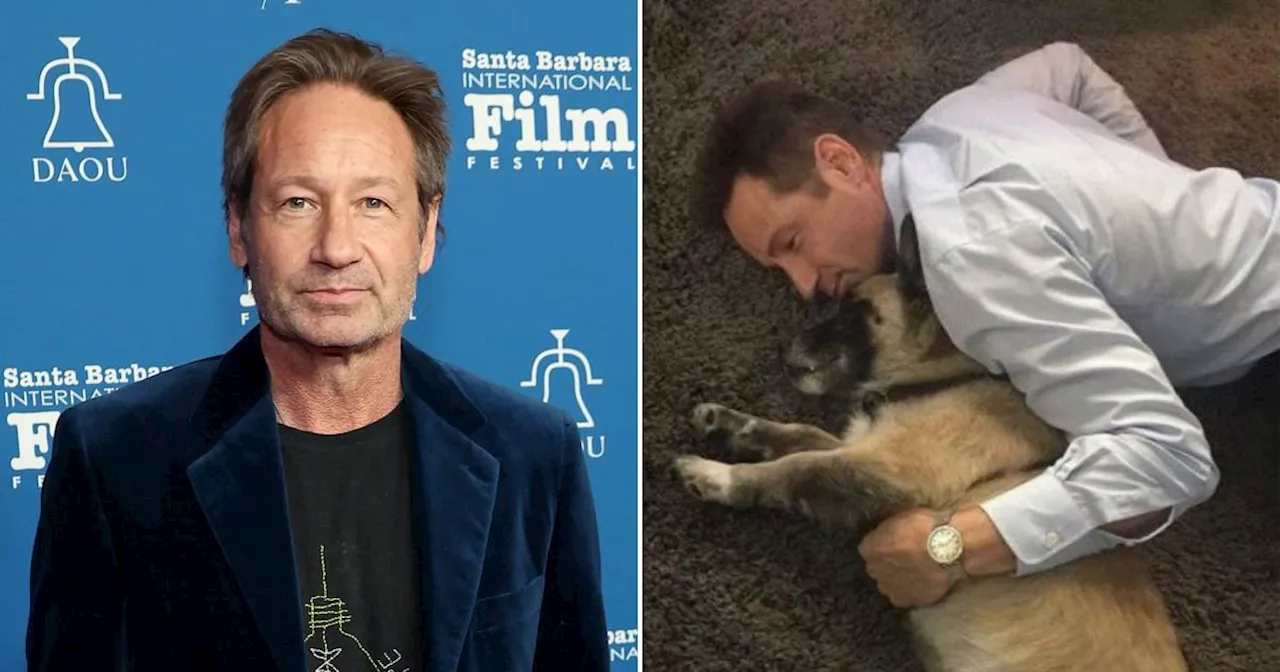 David Duchovny's heartbreaking poem in memory of his dog has fans 'weeping'