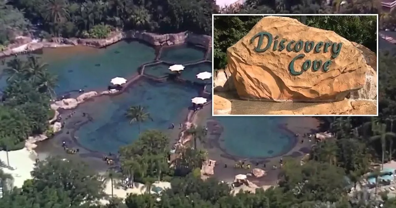 Teen girl drowns to death in Florida theme park pool