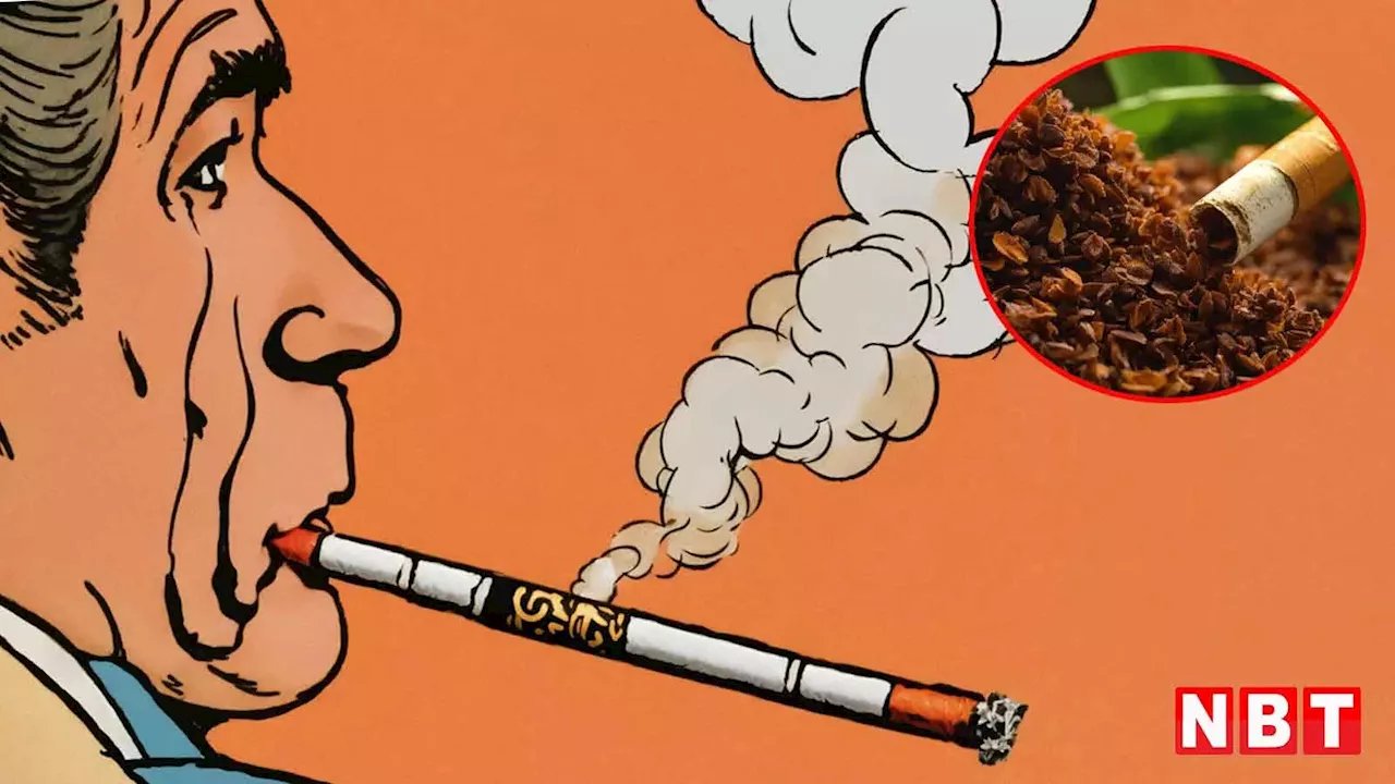 World No Tobacco Day 2024: रोजाना की 20 सिगरेट से घट रही 13 साल तक की उम्र... इलेक्ट्रॉनिक सिगरेट भी डालती है सेहत पर बुरा असर