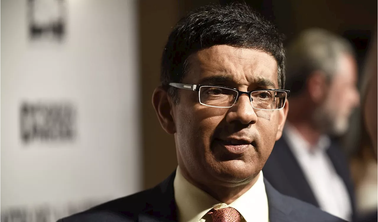 Dinesh D'Souza election fraud film, book ‘2000 Mules' pulled after defamation suit