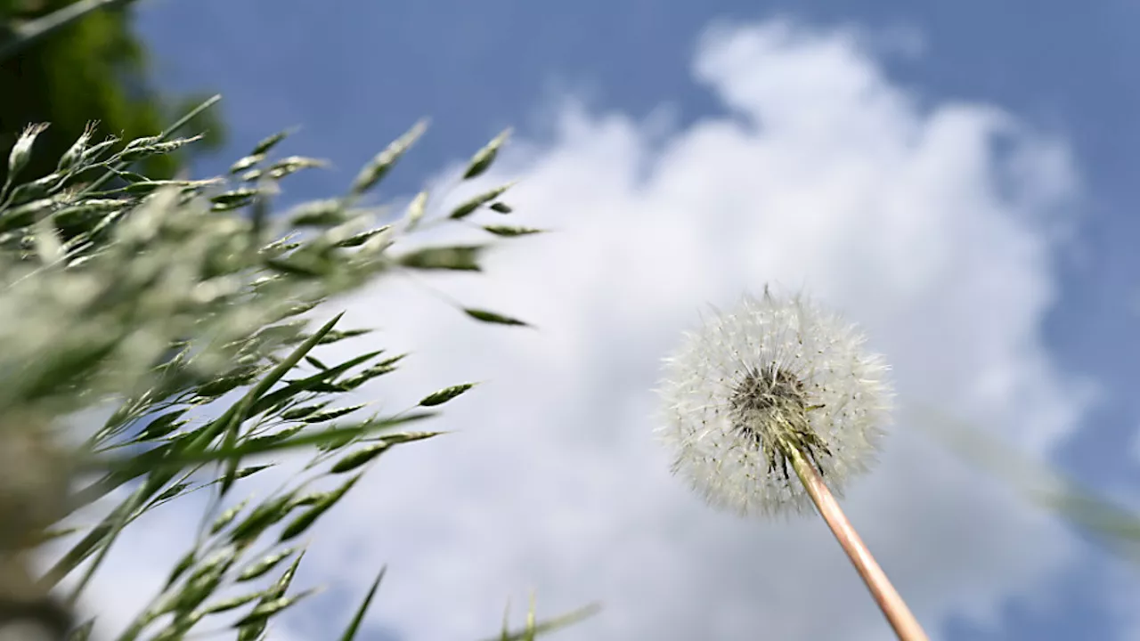 2024 brachte den bisher wärmsten Frühling in Österreich