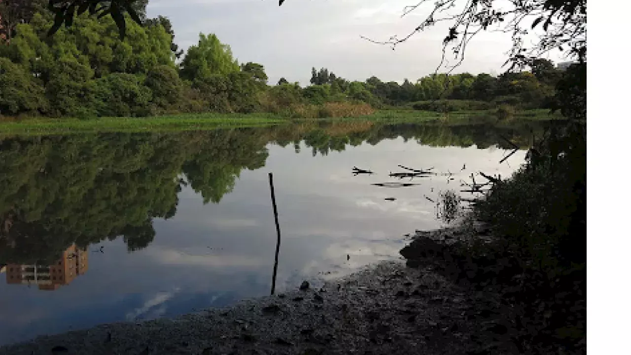 La Procuraduría solicitó que Minambiente revoque la medida de protección en los humedales de Bogotá