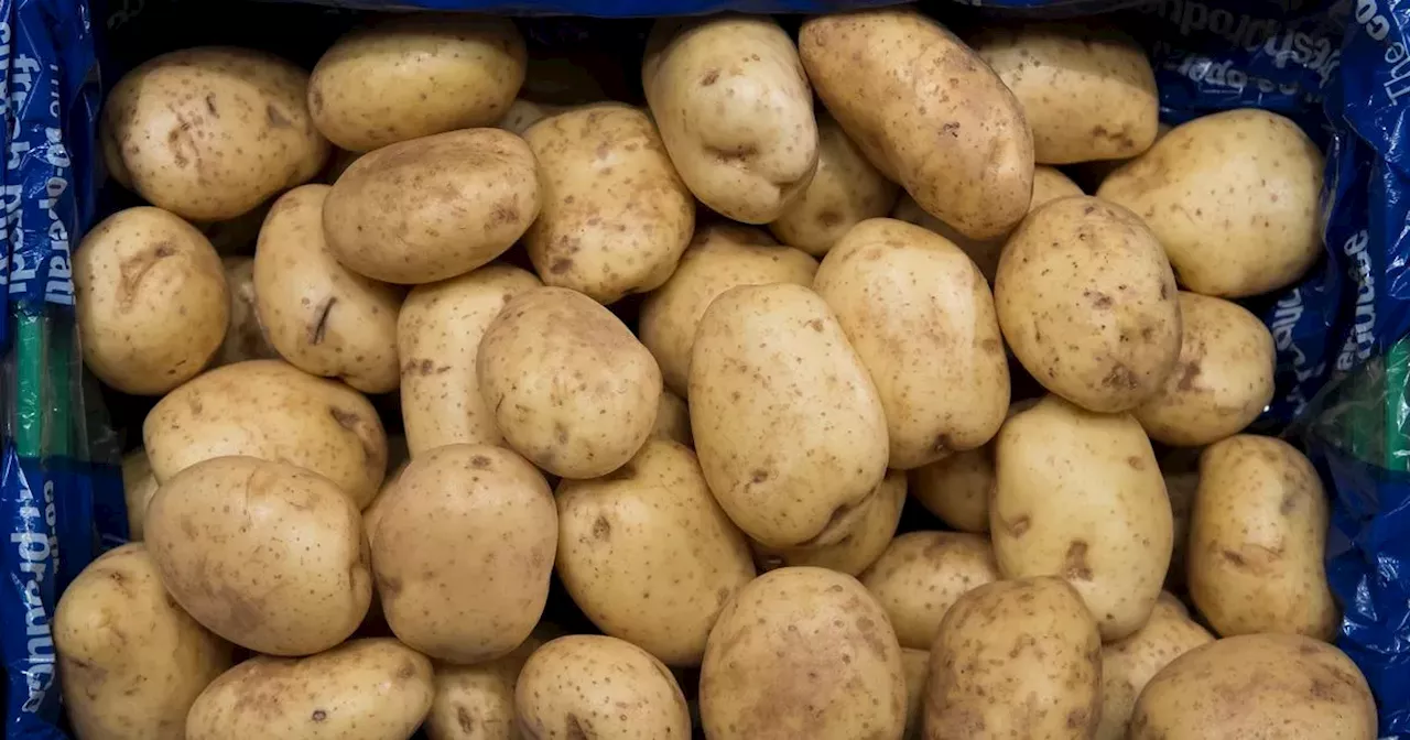 Ideal place to store potatoes to avoid mould and keep them fresh
