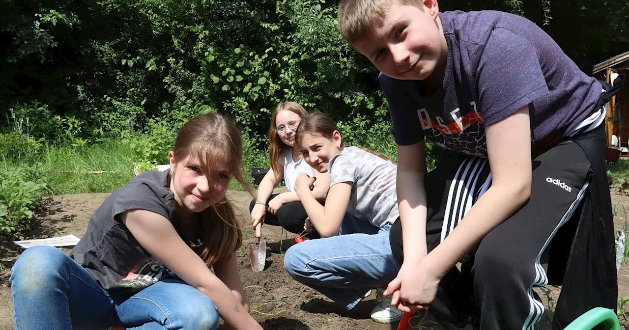 Löhner Gesamtschüler erkunden die Vielfalt im Gemüsebeet