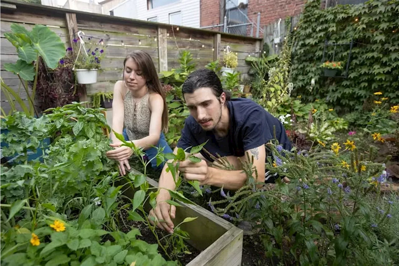 Why gardening can grow your mental well-being and cultivate friends