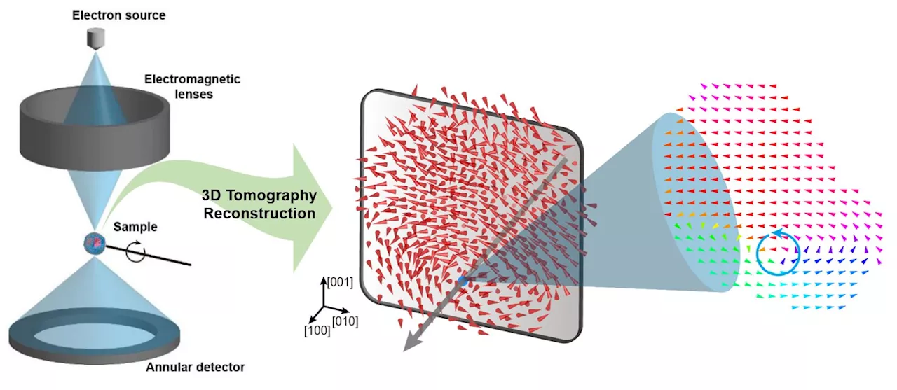 A 20-year-old puzzle solved: Researchers reveal the 'three-dimensional vortex' of zero-dimensional ferroelectrics