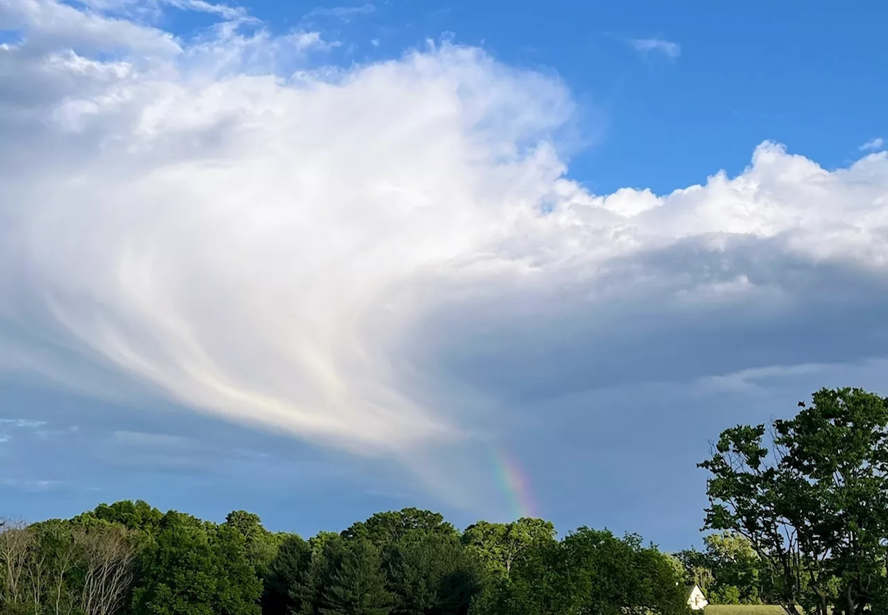 We predicted a fabulous 10 out of 10 day in D.C. Then it hailed.