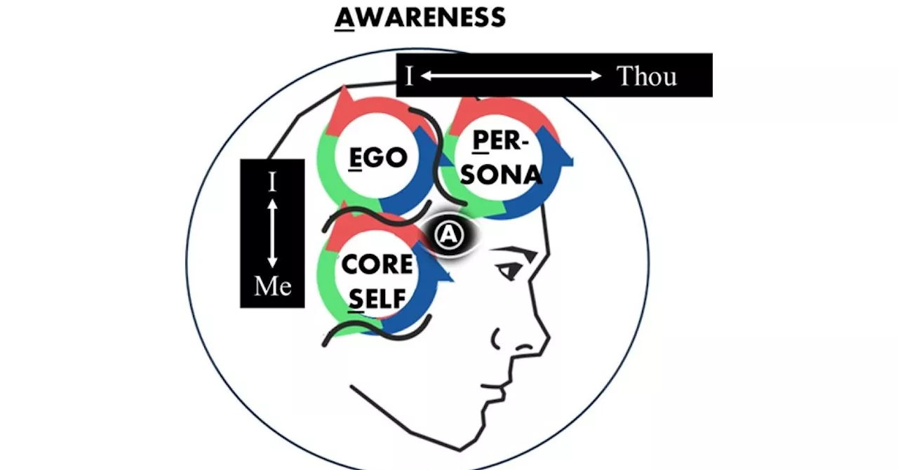 Considering the four domains of consciousness as vectors.