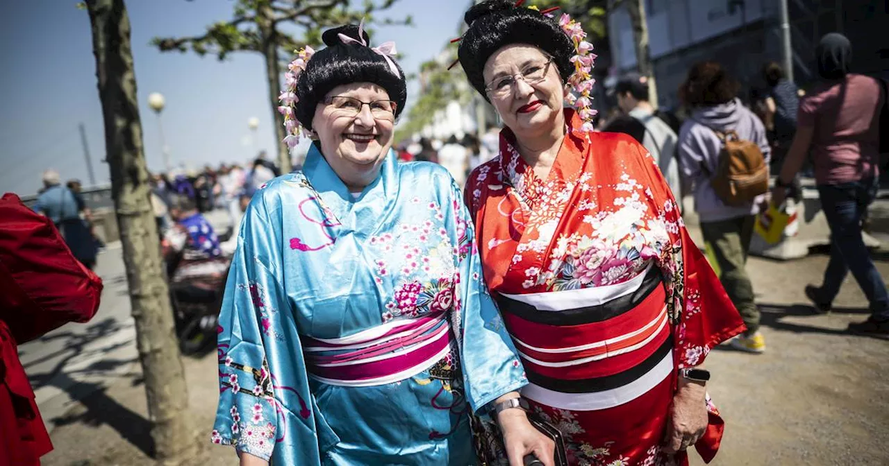 Japan-Tag 2024 in Düssldorf: Darf ich im Kimono kommen oder bin ich ein Rassist?