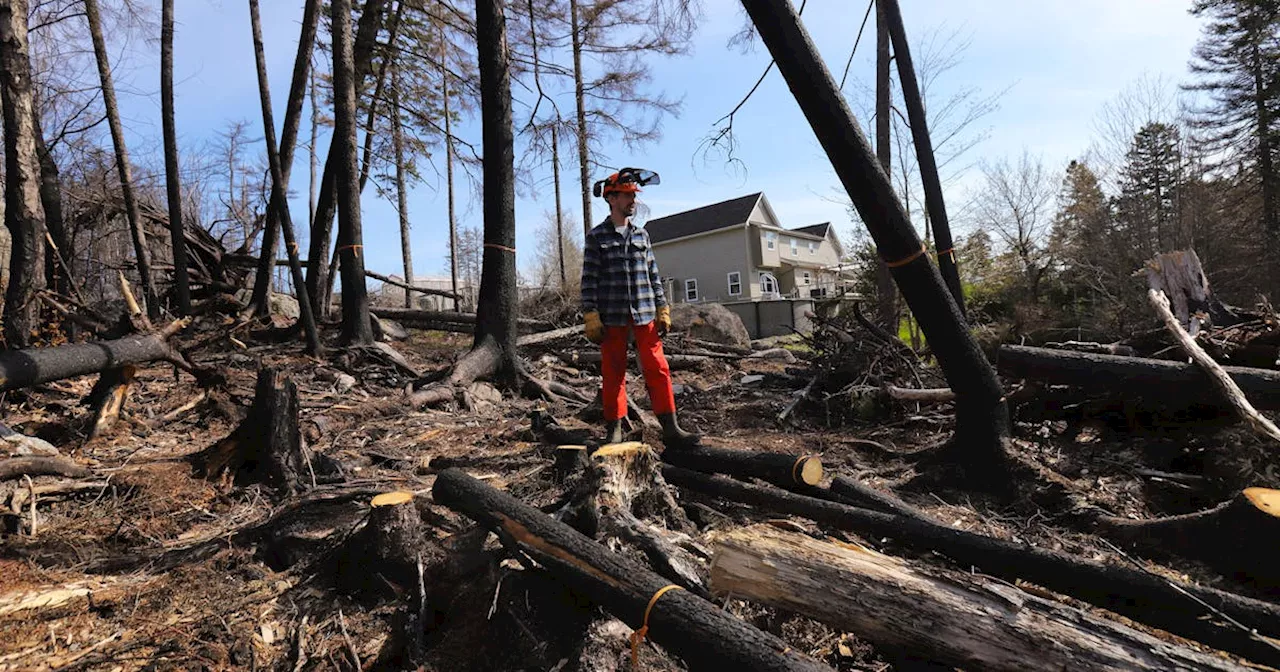EDITORIAL: A year since the Nova Scotia wildfires and what have we learned?