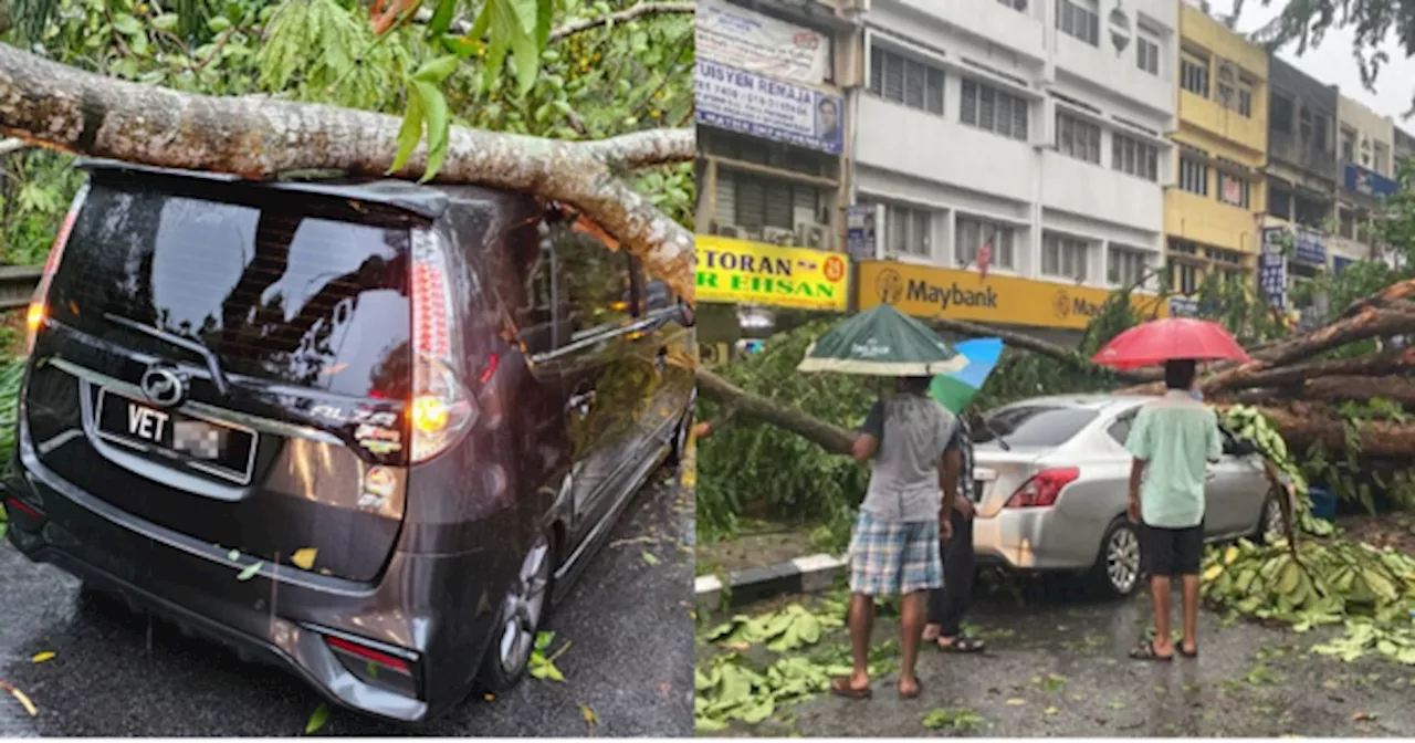 Pokok Tumbang & Rosakkan Kereta Anda? Ini Cara Tuntut Insurans & Bukti Yang Perlu Ada