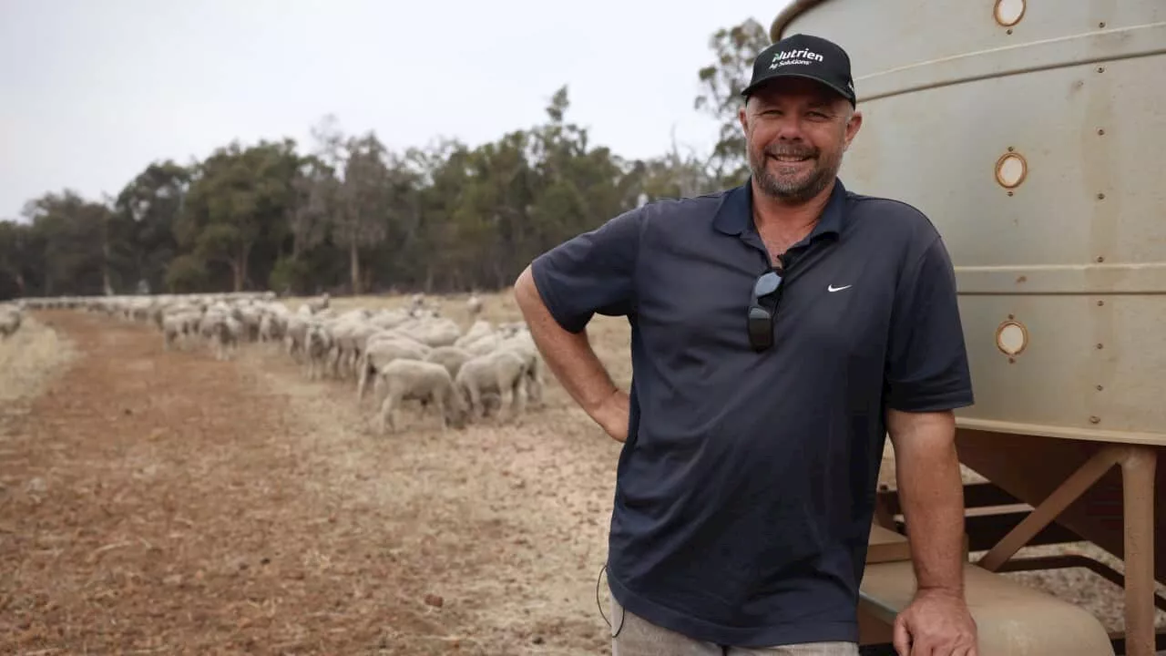 Sheep farming is all Scott knows — but his future is now uncertain