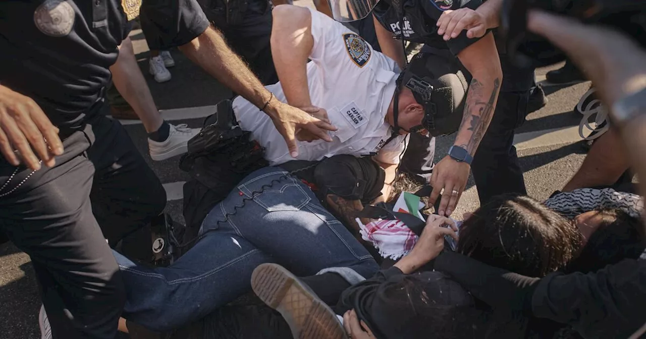 Pro-Palestinian protesters enter Brooklyn Museum, unfurl banner as police make arrests