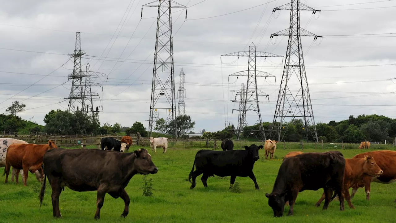 Labour has launched its Great British Energy policy