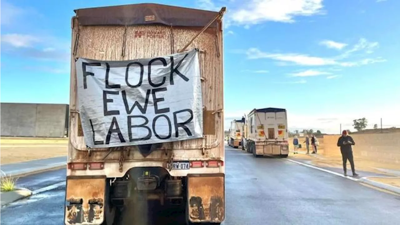 ‘All getting sick and tired’: Farmers descend on Perth protesting Albanese govt