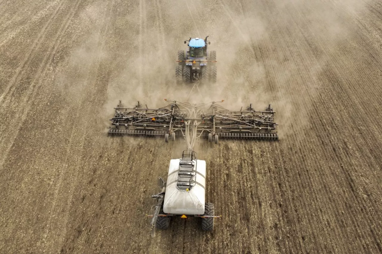 Spring rains welcome, but drought risk lingers in Western Canada