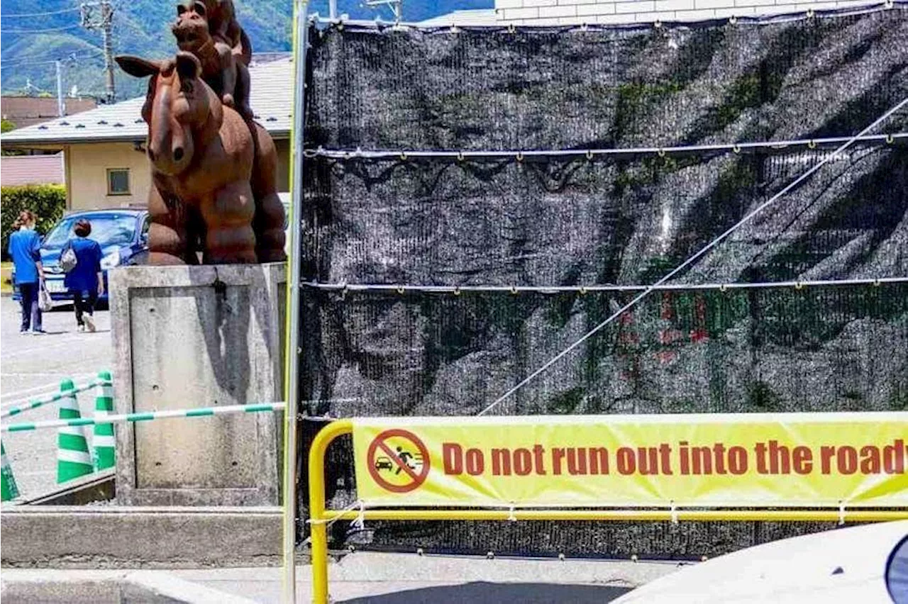 Japan officials take further measures after screen blocking view of Mount Fuji is vandalised